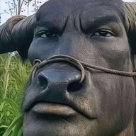 11111Владимир