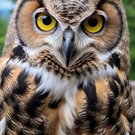 puzzled