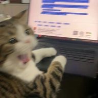 petvv