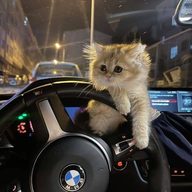 Serge9011