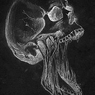 igor333