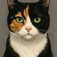 pyuter