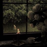 POMAH_78