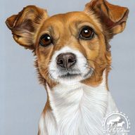 andrei