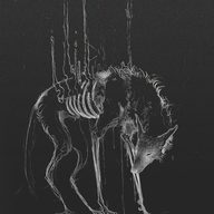 oxy_11