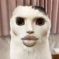 ya555