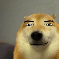 jvvukr