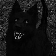 Zcast