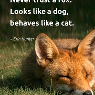 P$ychoSociaL
