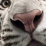 123456788