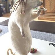 андрий