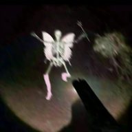 anchesono