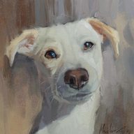 vitaliy konoval