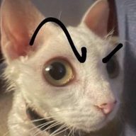 cazorla