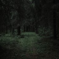 MortyMort