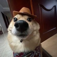 Касима