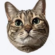 Talf_Witel