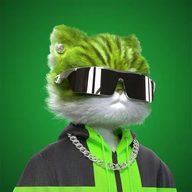 mvsafin