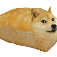 nqkoidrug