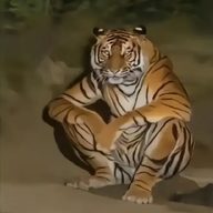 Эдуард2504