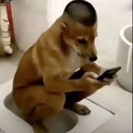 melissalw11
