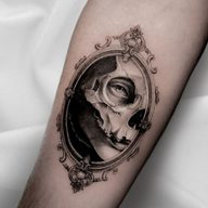DreamDiver