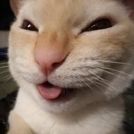 IrkIt