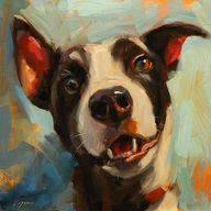nouser001