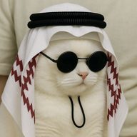 Global_Z