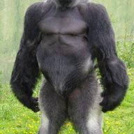 boriusik