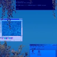 0D1N