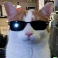 Pasha007