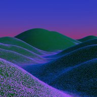Calyx