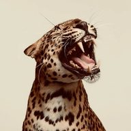 paf59