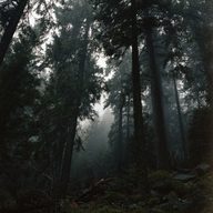 someplace