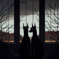 andr_luk