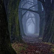 d37