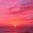 DreamTrip