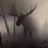 RegDoctor