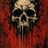 ysn