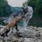NickSemenko