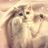 poring_007