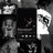 TiBiPo