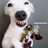 OLEG_ST