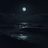 vitaliy_z