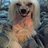 ibragim230176