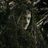 imamov_farhad