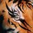 вован-братан