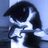 alexey_wild