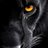 darkdragon19
